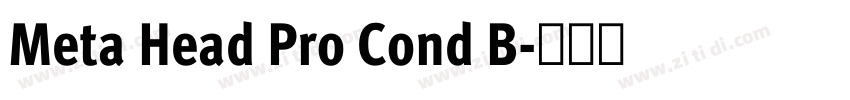 Meta Head Pro Cond B字体转换